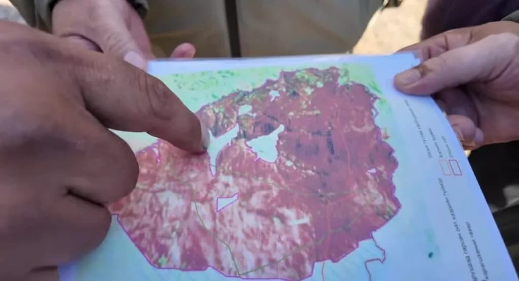 Нөмрөгт тавьсан түймрээс хөрс, ургамал, амьтанд учирсан хохирлыг нарийвчлан үнэлэхээр болжээ